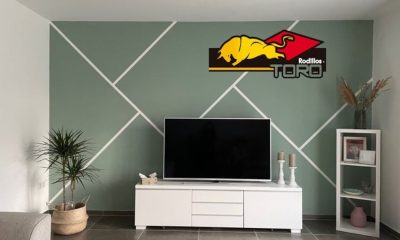 IMAGEN TORO2